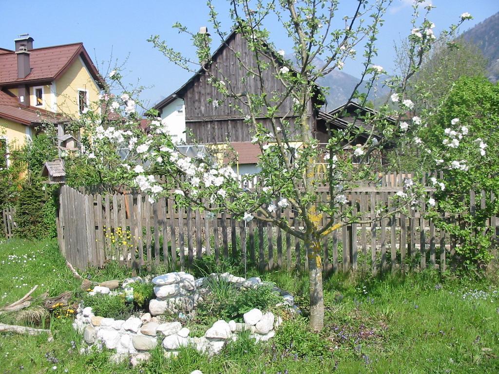 Am Pflanzgarten