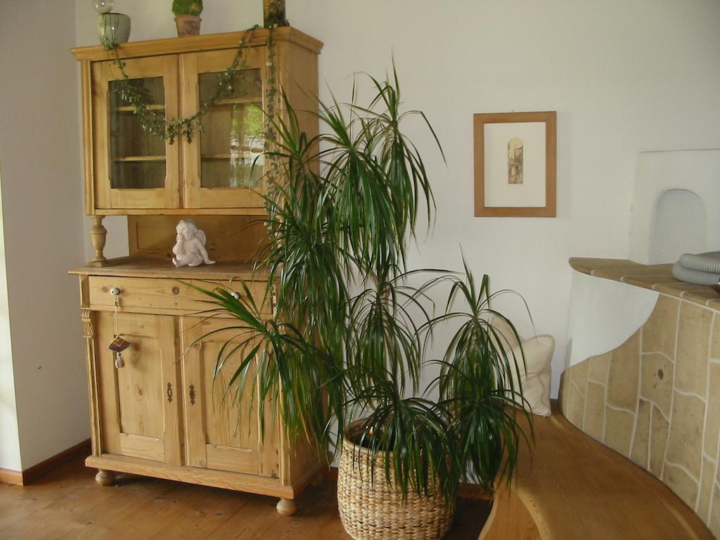 Apartment Am Pflanzgarten *
